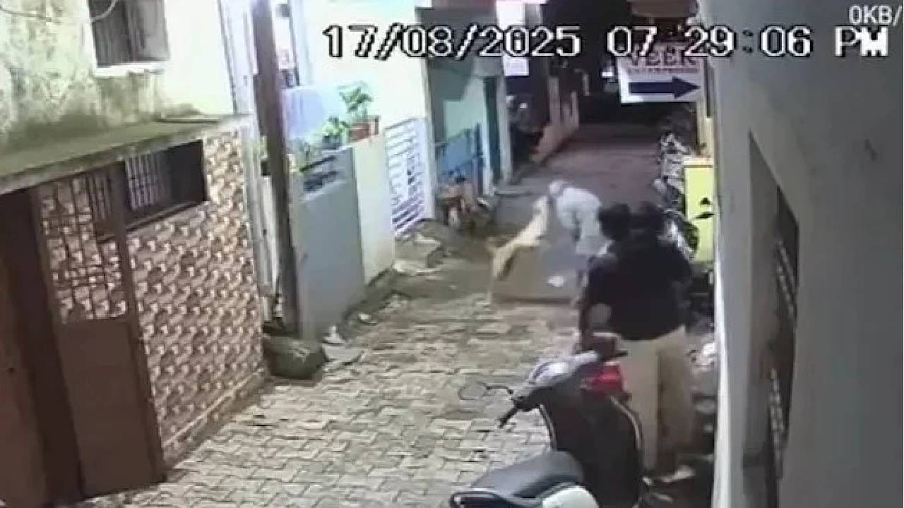 Video: ದಾರಿಯುಲ್ಲಿ ಹೋಗುತ್ತಿದ್ದ ವ್ಯಕ್ತಿಯ ಮುಖ ಕಚ್ಚಿದ ಬೀದಿ ನಾಯಿ Video: ದಾರಿಯುಲ್ಲಿ ಹೋಗುತ್ತಿದ್ದ ವ್ಯಕ್ತಿಯ ಮುಖ ಕಚ್ಚಿದ ಬೀದಿ ನಾಯಿ