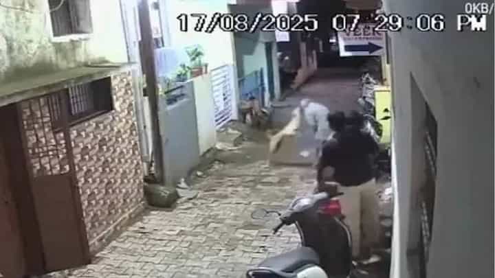 Video: ದಾರಿಯುಲ್ಲಿ ಹೋಗುತ್ತಿದ್ದ ವ್ಯಕ್ತಿಯ ಮುಖ ಕಚ್ಚಿದ ಬೀದಿ ನಾಯಿ Video: ದಾರಿಯುಲ್ಲಿ ಹೋಗುತ್ತಿದ್ದ ವ್ಯಕ್ತಿಯ ಮುಖ ಕಚ್ಚಿದ ಬೀದಿ ನಾಯಿ