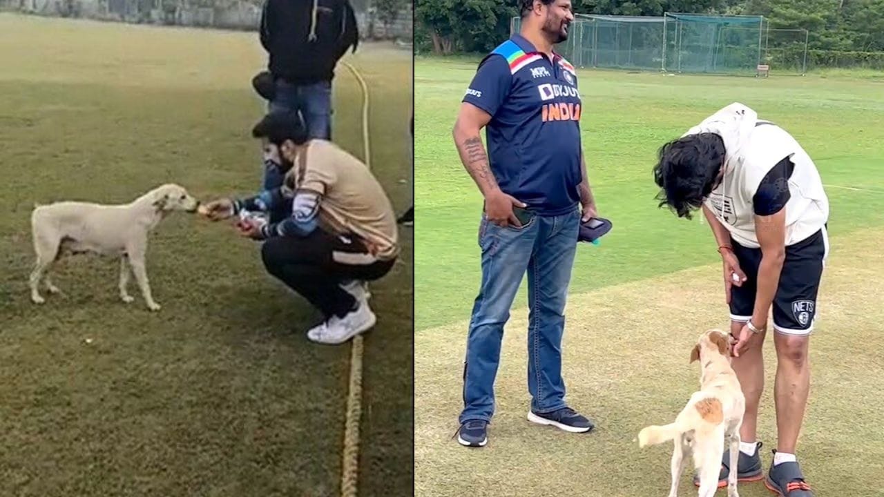 ಬೀದಿ ನಾಯಿಗಳ ಕುರಿತು ಸುಪ್ರೀಂ ಆದೇಶ: ಸುದೀಪ್ ಕೊಟ್ಟರು ಮೌಲ್ಯಯುತ ಸಲಹೆ ಬೀದಿ ನಾಯಿಗಳ ಕುರಿತು ಸುಪ್ರೀಂ ಆದೇಶ: ಸುದೀಪ್ ಕೊಟ್ಟರು ಮೌಲ್ಯಯುತ ಸಲಹೆ