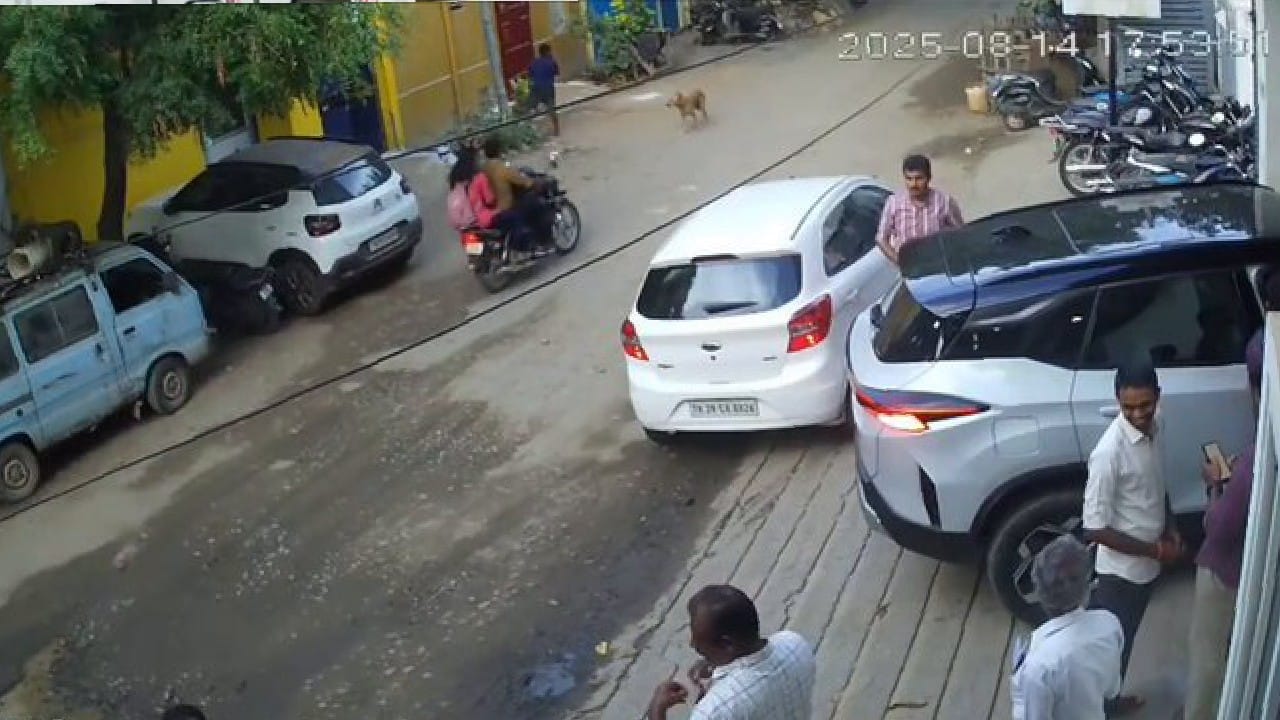 ಇದ್ದಕ್ಕಿದ್ದಂತೆ ಚಲಿಸಿ ಒಬ್ಬ ವ್ಯಕ್ತಿಯ ಜೀವ ಬಲಿ ಪಡೆದ ಟಾಟಾ ಹ್ಯಾರಿಯರ್; ಶಾಕಿಂಗ್ ವಿಡಿಯೋ ವೈರಲ್