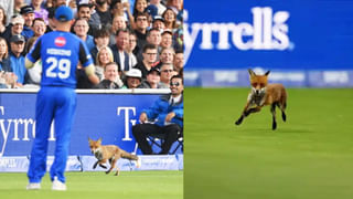 ಭತ್ತದ ಮೂಟೆ ಹೊತ್ತ ಲಾರಿ ಸಾಗುತ್ತಿರುವಾಗಲೇ ಮೈಸೂರಿನ ಇಟ್ನಾ ಬಳಿ ಕುಸಿದುಬಿದ್ದ ಕಬಿನಿ ಬಲದಂಡೆ ನಾಲೆ ಸೇತುವೆ