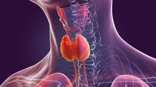 ಹಲ್ಲುಜ್ಜುವುದಕ್ಕಿಂತಲೂ ಮೊದಲು ಇದನ್ನ ಸೇವನೆ ಮಾಡಿದ್ರೆ ಕೊಲೆಸ್ಟ್ರಾಲ್ ಕಡಿಮೆ ಆಗುತ್ತೆ