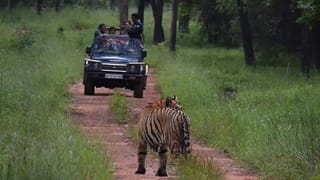 CP Radhakrishnan: ಎನ್​​ಡಿಎಯ ಉಪರಾಷ್ಟ್ರಪತಿ ಅಭ್ಯರ್ಥಿ ಸಿಪಿ ರಾಧಾಕೃಷ್ಣನ್ ಯಾರು?