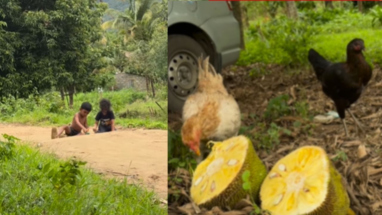 Video: ವಿದೇಶದಲ್ಲಿ ಲಕ್ಷ ಲಕ್ಷ ದುಡಿಯುತ್ತಿದ್ದ ದಂಪತಿ ನೆಮ್ಮದಿಗಾಗಿ ಸಿಂಗಾಪುರ ತೊರೆದು ಭಾರತಕ್ಕೆ ಬಂದ್ರು Video: ವಿದೇಶದಲ್ಲಿ ಲಕ್ಷ ಲಕ್ಷ ದುಡಿಯುತ್ತಿದ್ದ ದಂಪತಿ ನೆಮ್ಮದಿಗಾಗಿ ಸಿಂಗಾಪುರ ತೊರೆದು ಭಾರತಕ್ಕೆ ಬಂದ್ರು