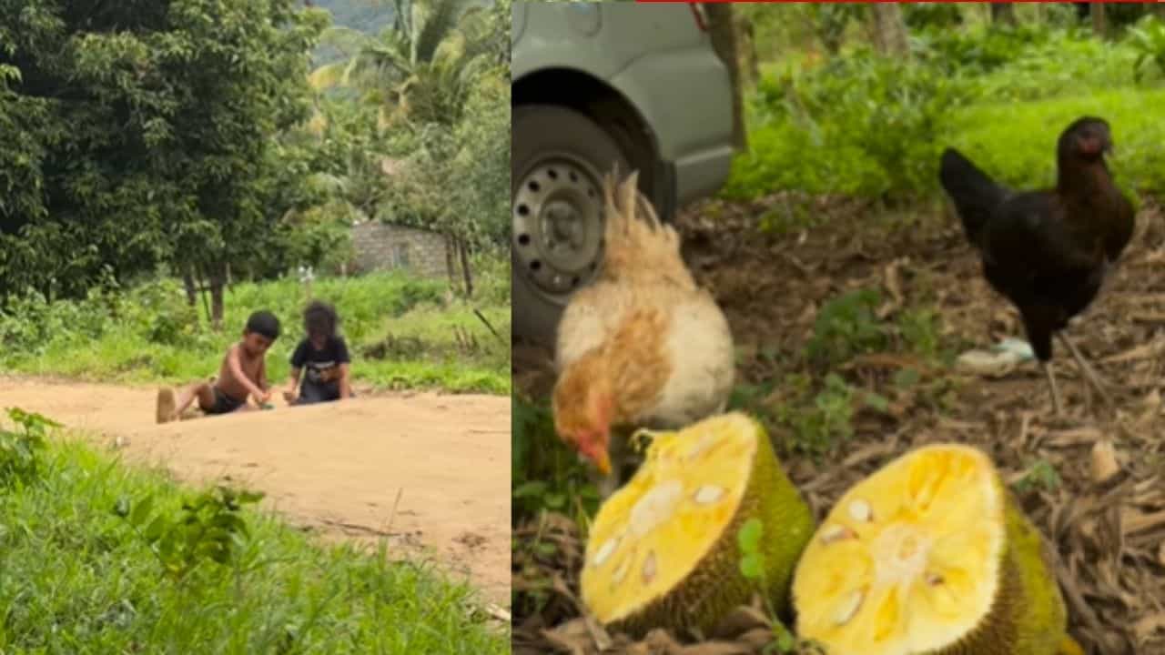 Video: ವಿದೇಶದಲ್ಲಿ ಲಕ್ಷ ಲಕ್ಷ ದುಡಿಯುತ್ತಿದ್ದ ದಂಪತಿ ನೆಮ್ಮದಿಗಾಗಿ ಸಿಂಗಾಪುರ ತೊರೆದು ಭಾರತಕ್ಕೆ ಬಂದ್ರು Video: ವಿದೇಶದಲ್ಲಿ ಲಕ್ಷ ಲಕ್ಷ ದುಡಿಯುತ್ತಿದ್ದ ದಂಪತಿ ನೆಮ್ಮದಿಗಾಗಿ ಸಿಂಗಾಪುರ ತೊರೆದು ಭಾರತಕ್ಕೆ ಬಂದ್ರು