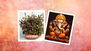 Ganesh Chaturthi 2025: ಗಣಪತಿ ಪೂಜೆಯ ಪದ್ಧತಿ, ಬೇಕಾಗುವ ಪದಾರ್ಥ, ಕ್ರಮ ಇತ್ಯಾದಿಗಳ ಸಂಪೂರ್ಣ ಮಾಹಿತಿ ಇಲ್ಲಿದೆ
