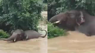 Viral: ದ್ವೇಷದಿಂದ ಪ್ರೀತಿಯವರೆಗೆ: ಫ್ರೆಂಡ್‌ಶಿಪ್‌ ಡೇಯಂದು ವಿಚಿತ್ರ ಮ್ಯಾರೇಜ್ ಸ್ಟೋರಿ ರಿವೀಲ್ ಮಾಡಿದ ಯುವತಿ