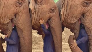 Video: ಬೆಡ್ ರೂಮಿನ ಹಾಸಿಗೆ ಮೇಲೆ ರಾಶಿ ರಾಶಿ ಹಾವುಗಳು, ಈ ಯುವತಿ ಏನ್ ಮಾಡ್ತಿದ್ದಾಳೆ ನೋಡಿ