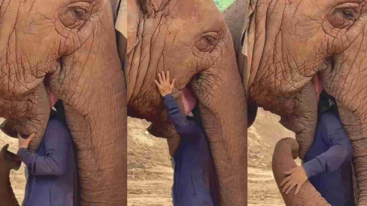 Video: ಹಾಡು ಹಾಡುತ್ತಿದ್ದ ಮಹಿಳೆಯನ್ನು ಖುಷಿಯಲ್ಲಿ ತಬ್ಬಿ ನಿಂತ ಆನೆ, ಹೃದಯಸ್ಪರ್ಶಿ ದೃಶ್ಯ ವೈರಲ್