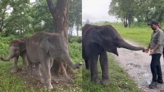 Video: ಮಾಡೆಲ್ ಮುಂದೆಯೇ ರಸ್ತೆಯಲ್ಲಿ ಹಸ್ತಮೈಥುನ ಮಾಡಿಕೊಂಡ ವ್ಯಕ್ತಿ