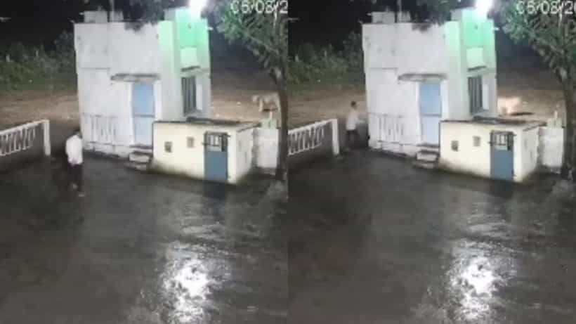 Video: ಸಿಂಹ ಬಂತು ಎಂದು ವ್ಯಕ್ತಿ ಓಡಿದ್ರೆ, ಇತ್ತ ಕಾಡಿನ ರಾಜ ಏನ್ ಮಾಡಿತು ನೋಡಿ