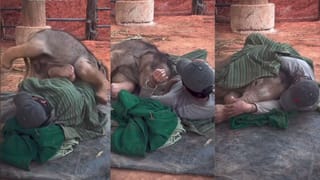 ಪ್ರೇಯಸಿಯ ಆರೈಕೆಯಲ್ಲಿ 30 ವರ್ಷ ಕಳೆದ ರಿಯಲ್ ಪ್ರೇಮಿಯ ಕಥೆಯಿದು