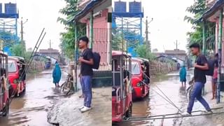 Optical Illusion: ನಿಮ್ಮ ಕಣ್ಣಿಗೆ ಮೂರು ಬೆಕ್ಕು ಮಾತ್ರ ಕಾಣಿಸಿತಾ? ನಾಲ್ಕನೇ ಬೆಕ್ಕು ಎಲ್ಲಿದೆ ಎಂದು ಹುಡುಕಿ