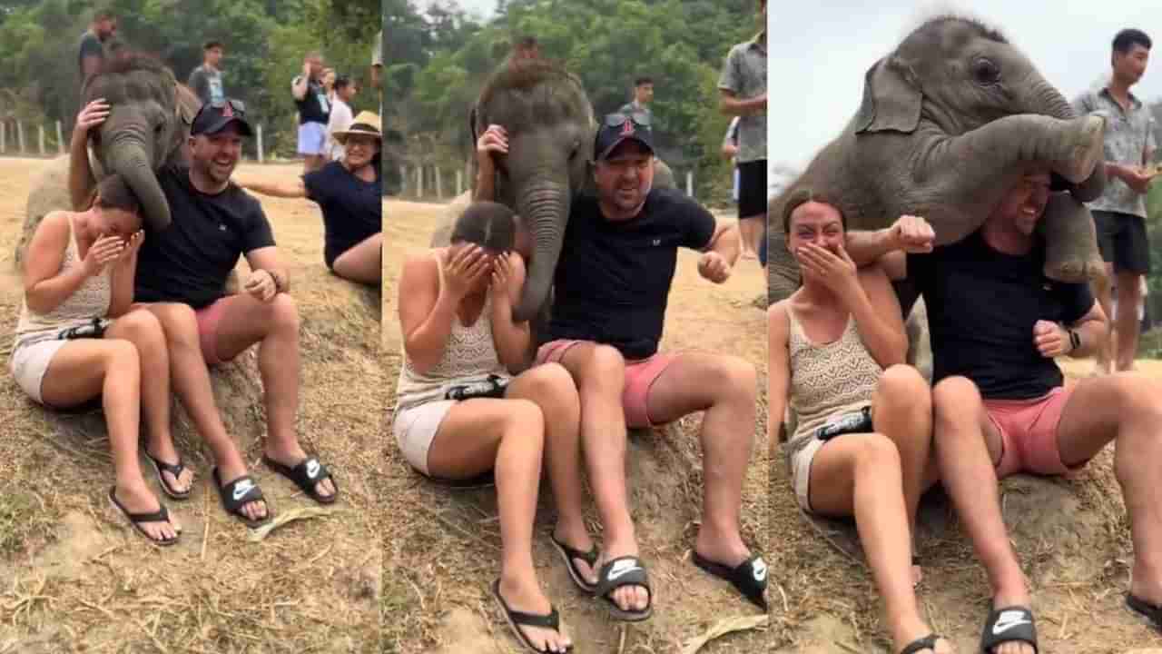 Video: ಪಾರ್ಕ್ನಲ್ಲಿ ಕುಳಿತಿದ್ದ ದಂಪತಿಯನ್ನು ತಬ್ಬಿಕೊಂಡ ಮರಿಯಾನೆ