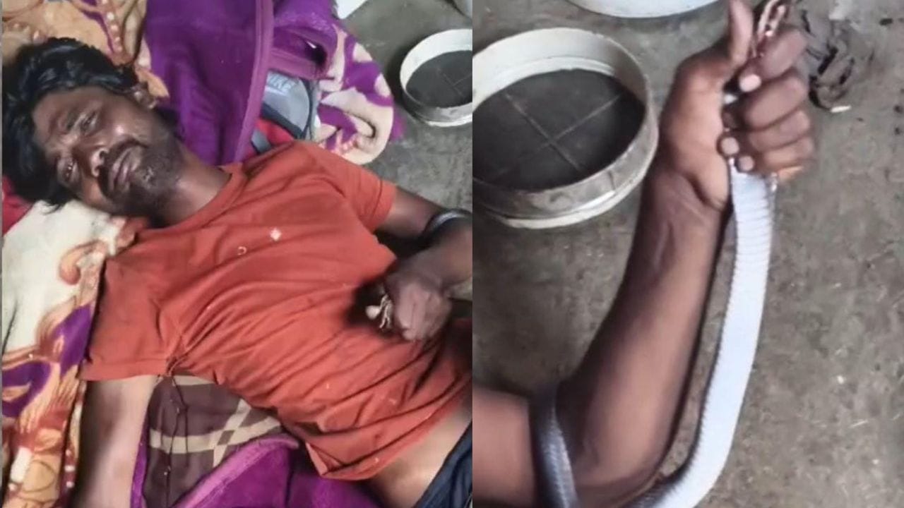 Video: ಭಯದಲ್ಲಿ ಹಾವನ್ನೇ ಸಾಯಿಸಿ ಆಸ್ಪತ್ರೆಗೆ ಓಡೋಡಿ ಹೋದ ಯುವಕ, ಮುಂದೇನಾಯ್ತು ನೋಡಿ Video: ಭಯದಲ್ಲಿ ಹಾವನ್ನೇ ಸಾಯಿಸಿ ಆಸ್ಪತ್ರೆಗೆ ಓಡೋಡಿ ಹೋದ ಯುವಕ, ಮುಂದೇನಾಯ್ತು ನೋಡಿ