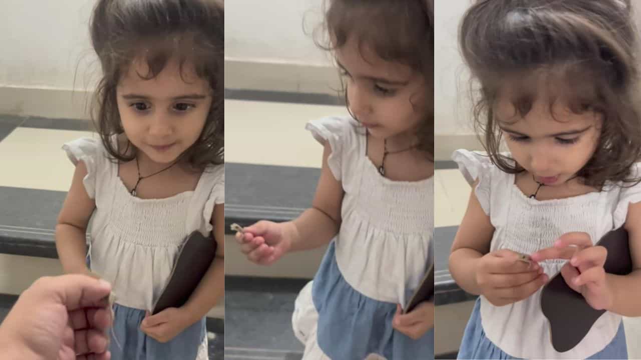 Video: ಹಲ್ಲಿಯನ್ನು ಸಲೀಸಾಗಿ ಬರಿಗೈಯಲ್ಲಿ ಹಿಡಿದ ಪುಟಾಣಿ ತಂದೆ ಹತ್ರ ಏನ್ ಹೇಳಿದ್ಲು ನೋಡಿ Video: ಹಲ್ಲಿಯನ್ನು ಸಲೀಸಾಗಿ ಬರಿಗೈಯಲ್ಲಿ ಹಿಡಿದ ಪುಟಾಣಿ ತಂದೆ ಹತ್ರ ಏನ್ ಹೇಳಿದ್ಲು ನೋಡಿ