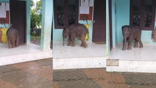 ನೀಲಿ, ಬಿಳಿ, ಕೆಂಪು, ಕಿತ್ತಳೆ: ಭಾರತದಲ್ಲಿ ಲಭ್ಯವಿರುವ ಈ ಪಾಸ್ ಪೋರ್ಟ್ ಬಣ್ಣಗಳ ಅರ್ಥವೇನು ಗೊತ್ತಾ?