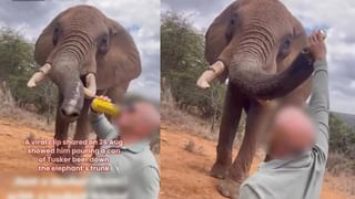 Video: ಪ್ರಧಾನಿ ಮೋದಿ ಮುಂದೆ ಕಣ್ಣೀರು, ಗರ್ವದಿಂದ ಸೆಲ್ಯೂಟ್‌ ಹೊಡೆದ ಯುವತಿ