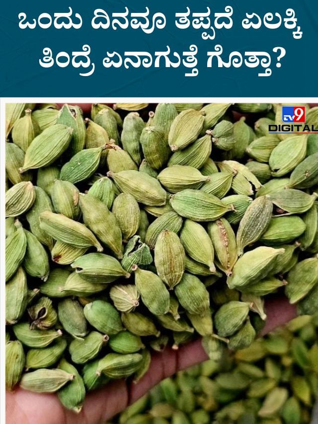 ಏಲಕ್ಕಿ ತಿನ್ನುವ ಅವಕಾಶವನ್ನು ಎಂದಿಗೂ ಮಿಸ್ ಮಾಡ್ಕೋಬೇಡಿ