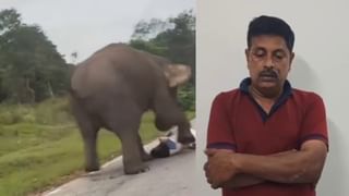 Hair Dye: ತಲೆಗೆ ಬಣ್ಣ ಹಚ್ಚುವ ಮುನ್ನ ನೀವು ಈ ವಿಡಿಯೋ ನೋಡಲೇಬೇಕು