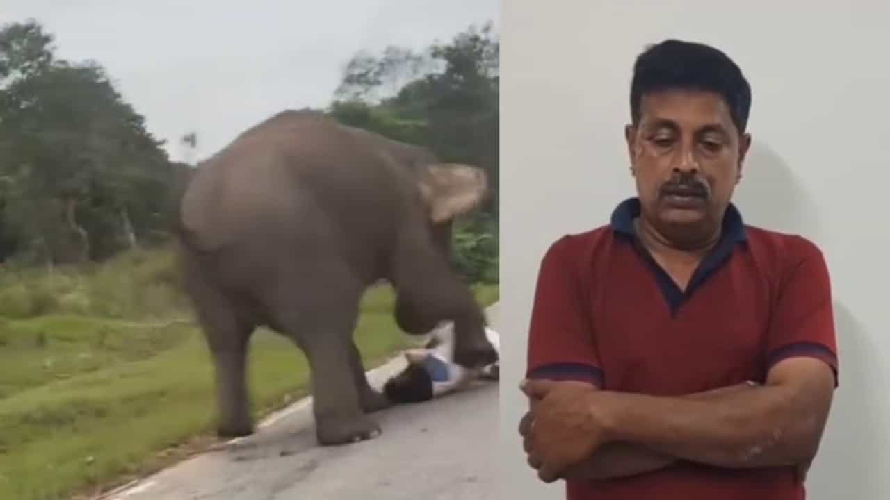 ಕಾಡಾನೆ ದಾಳಿಗೆ ಒಳಗಾಗಿದ್ದ ವ್ಯಕ್ತಿಗೆ 25 ಸಾವಿರ ರೂ. ದಂಡ! ಎಚ್ಚರಿಕೆ ಸಂದೇಶದ ವಿಡಿಯೋ ಬಿಡುಗಡೆ ಮಾಡಿಸಿದ ಅರಣ್ಯ ಇಲಾಖೆ ಕಾಡಾನೆ ದಾಳಿಗೆ ಒಳಗಾಗಿದ್ದ ವ್ಯಕ್ತಿಗೆ 25 ಸಾವಿರ ರೂ. ದಂಡ! ಎಚ್ಚರಿಕೆ ಸಂದೇಶದ ವಿಡಿಯೋ ಬಿಡುಗಡೆ ಮಾಡಿಸಿದ ಅರಣ್ಯ ಇಲಾಖೆ