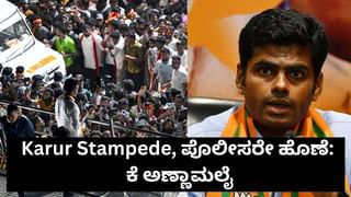 ನಟ ವಿಜಯ್ ರ‍್ಯಾಲಿಯಲ್ಲಿ ಕಲ್ಲು ತೂರಾಟ ಆಗಿರಲಿಲ್ಲ, ಪೊಲೀಸ್ ಭದ್ರತೆ ಸರಿಯಾಗಿಯೇ ಇತ್ತು: ಎಡಿಜಿಪಿ ಡೇವಿಡ್ಸನ್ ಸ್ಪಷ್ಟನೆ