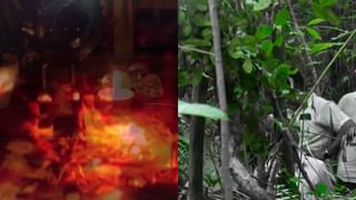 ವಿಜಯಪುರ ಎಸ್​ಬಿಐ ಬ್ಯಾಂಕ್ ದರೋಡೆ: ಸೊಲ್ಲಾಪುರದಲ್ಲಿ ಪತ್ತೆಯಾದ ಕಾರು, ಅದರಲ್ಲಿತ್ತು ಚಿನ್ನ!