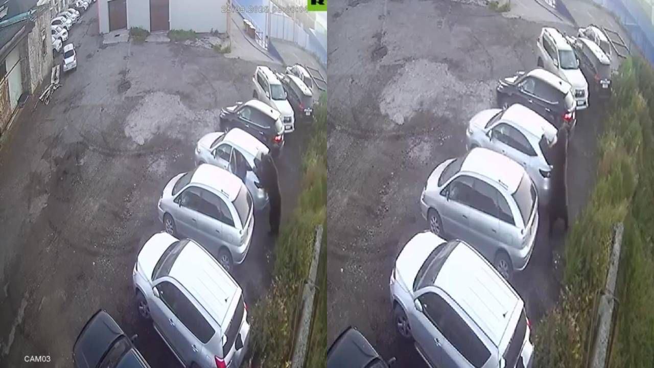 ಅಟ್ಯಾಕ್ ಮಾಡಲು ಮುಂದಾದ ಕರಡಿ; ಕೂದಲೆಳೆ ಅಂತರದಲ್ಲಿ ಬಜಾವ್ ಆದ ವ್ಯಕ್ತಿ ಅಟ್ಯಾಕ್ ಮಾಡಲು ಮುಂದಾದ ಕರಡಿ; ಕೂದಲೆಳೆ ಅಂತರದಲ್ಲಿ ಬಜಾವ್ ಆದ ವ್ಯಕ್ತಿ