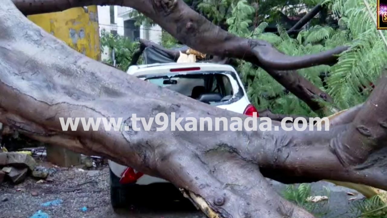 ಬೆಂಗಳೂರು ಮಳೆ: 2 ಮನೆಗಳ ಮೇಲೆ ಬಿದ್ದ ಮರ, 5 ಕಾರು, 4 ಬೈಕ್ ಜಖಂ