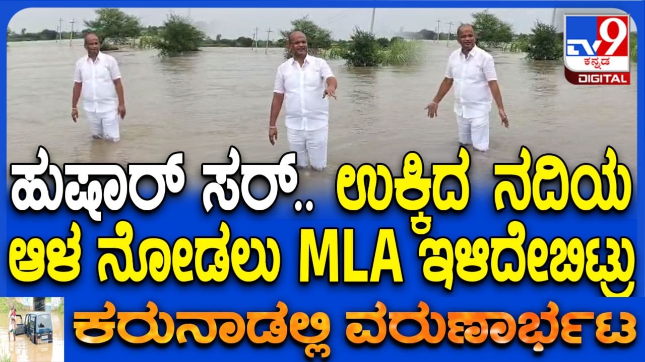 ಬೀದರ್​ನಲ್ಲಿ ಭಾರಿ ಮಳೆಗೆ ವ್ಯಾಪಕ ಬೆಳೆ ಹಾನಿ: ಪರಿಶೀಲನೆಗೆ ಪ್ರವಾಹದ ನೀರಿಗೆ ಇಳಿದೇ ಬಿಟ್ಟ ಶಾಸಕ ಶರಣು ಸಲಗರ!