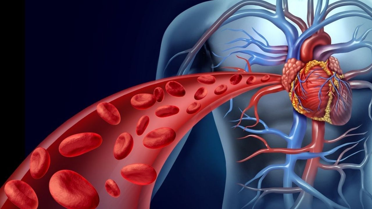 ರಕ್ತ ಪರಿಚಲನೆಯಲ್ಲಿ ವ್ಯಾತ್ಯಾಸ ಕಾಣಿಸಿಕೊಂಡರೆ ಮನೆಯಲ್ಲಿ ಹೀಗೆ ಮಾಡಿ