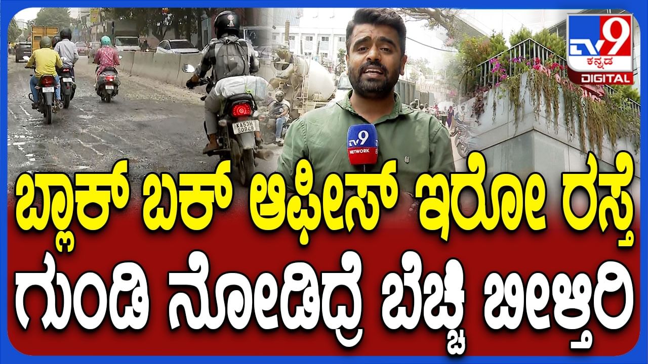Bengaluru Potholes: ಬೆಂಗಳೂರು ರಸ್ತೆ ಗುಂಡಿ, ಟಿವಿ9 ರಿಯಾಲಿಟಿ ಚೆಕ್ನಲ್ಲಿ ಬಯಲಾಯ್ತು ಮತ್ತಷ್ಟು ಅವ್ಯವಸ್ಥೆ Bengaluru Potholes: ಬೆಂಗಳೂರು ರಸ್ತೆ ಗುಂಡಿ, ಟಿವಿ9 ರಿಯಾಲಿಟಿ ಚೆಕ್ನಲ್ಲಿ ಬಯಲಾಯ್ತು ಮತ್ತಷ್ಟು ಅವ್ಯವಸ್ಥೆ