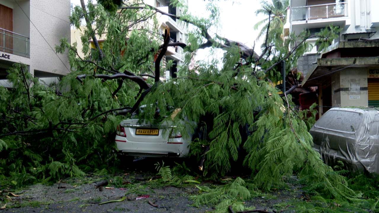 ಇನ್ನು ಮನೆಗಳ ಮೇಲೆ ಮರ ಬಿದ್ದ ಪರಿಣಾಮ 2 ಕುಟುಂಬಗಳಿಗೆ ದಿಗ್ಬಂಧನ ಎದುರಾಗಿದೆ. ಮನೆಯಿಂದ ಹೊರಬರಲಾಗದೆ ಪರದಾಟ ನಡೆಸಿದ್ದಾರೆ. ಮರ ಬಿದ್ದು 5 ಕಾರು, ಟಾಟಾ ಏಸ್​ ವಾಹನ, 3 ರಿಂದ 4 ಬೈಕ್​ಗಳು ಜಖಂಗೊಂಡಿವೆ.