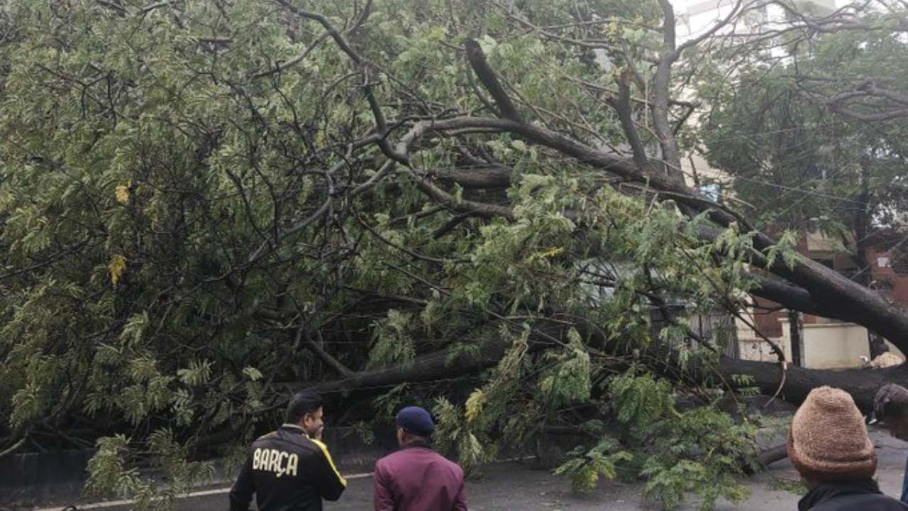 ಮರ ಉರುಳಿದ್ದರಿಂದ 5ನೇ ಮುಖ್ಯ ರಸ್ತೆ ಚಾಮರಾಜಪೇಟೆಯಿಂದ 4ನೇ ಮುಖ್ಯ ರಸ್ತೆಯ ಕಡೆಗೆ ಹೋಗುವ ರಸ್ತೆಯನ್ನು ಬಂದ್​​ ಮಾಡಲಾಗಿದೆ. ಪ್ರಯಾಣಿಕರು ಪರ್ಯಾಯ ಮಾರ್ಗವನ್ನು ಬಳಸುವಂತೆ ಬೆಂಗಳೂರು ಸಂಚಾರ ಪೊಲೀಸರು ಸೂಚಿಸಿದ್ದಾರೆ.