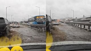 Video: ಇದು ಮ್ಯಾಜಿಕ್ ಅಲ್ಲ ಮೋಸ, ಪಾರಿವಾಳ ಹೇಗೆ ಬಂತು ನೋಡಿ