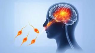 Patanjali: ದಿವ್ಯ ಕಾಯಕಲ್ಪ ತೈಲದ ಪ್ರಯೋಜನ, ಬಳಕೆ ವಿಧಾನ, ಮುನ್ನೆಚ್ಚರಿಕೆ ಕ್ರಮ ತಿಳಿಯಿರಿ