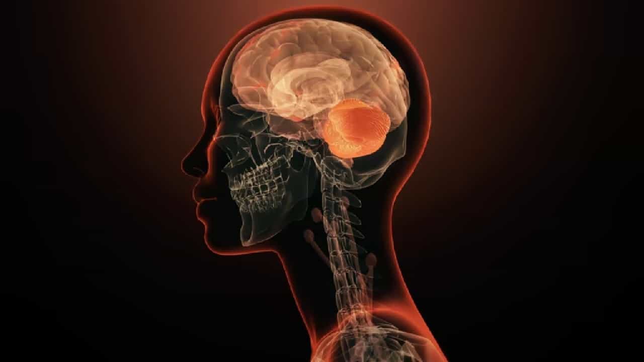 ಕೇರಳದಲ್ಲಿ ಹೈ ಅಲರ್ಟ್; ಮೆದುಳನ್ನು ತಿನ್ನುವ ಅಮೀಬಾದಿಂದ 19 ಜನ ಸಾವು, 120ಕ್ಕೂ ಹೆಚ್ಚು ಜನರಿಗೆ ಸೋಂಕು