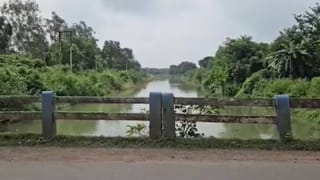 ಇಳಿ ವಯಸ್ಸಿನಲ್ಲಿ ಮದುವೆ ಕನಸು ಹೊತ್ತು ಅಮೆರಿಕದಿಂದ ಭಾರತಕ್ಕೆ ಬಂದ ಮಹಿಳೆಯ ಬರ್ಬರ ಹತ್ಯೆ