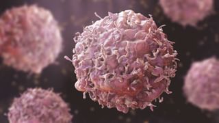 ದೇಶಭ್ರಷ್ಟ ವಜ್ರೋದ್ಯಮಿ ಚೋಕ್ಸಿಯನ್ನು ಭಾರತಕ್ಕೆ ಹಸ್ತಾಂತರಿಸಿ, ಈ ಎಲ್ಲಾ ಸೌಲಭ್ಯ ಕೊಡ್ತೀವಿ ಎಂದು ಬೆಲ್ಜಿಯಂಗೆ ಭರವಸೆ ನೀಡಿದ ಭಾರತ