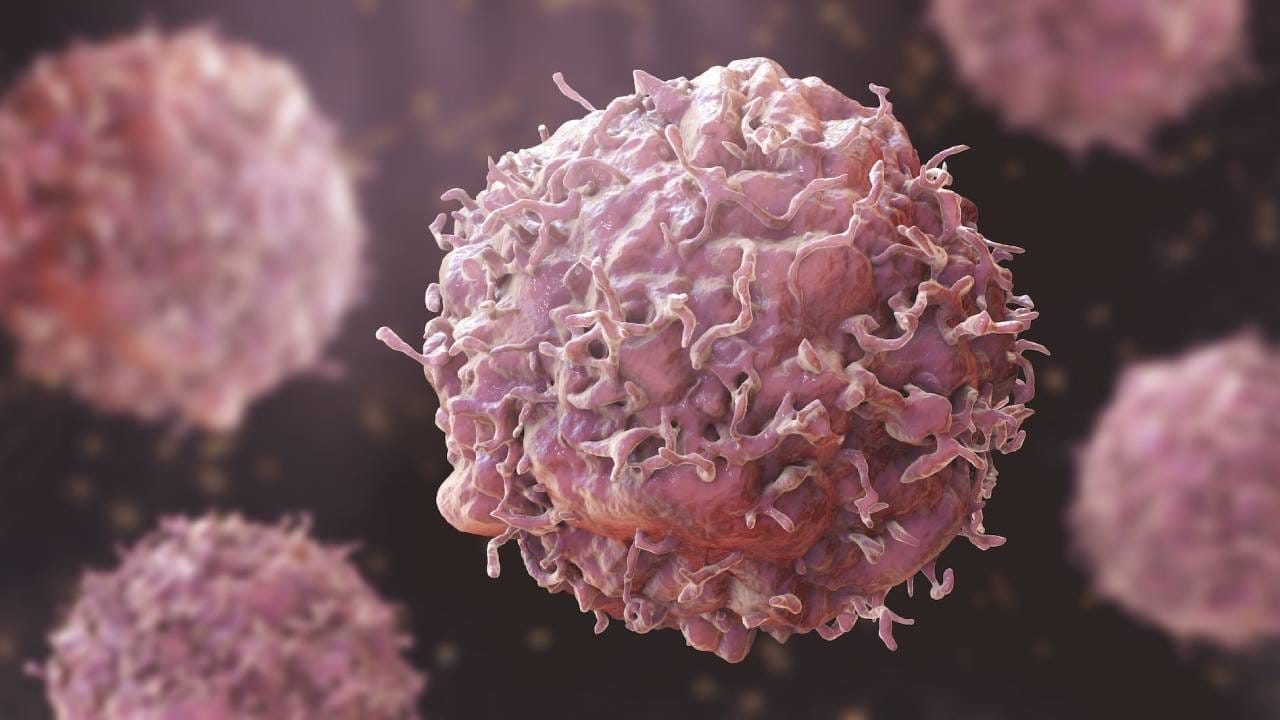 ಕರುಳಿನ ಕ್ಯಾನ್ಸರ್: ರಷ್ಯಾದಿಂದ ಲಸಿಕೆ ಸಿದ್ಧ; ನಿರುಪದ್ರವಿ ವೈರಸ್ ಬಳಸಿ ಕ್ಯಾನ್ಸರ್ ಕೋಶಗಳ ನಾಶ ಮಾಡಬಲ್ಲ ಪ್ರಬಲ ವ್ಯಾಕ್ಸಿನ್ ಕರುಳಿನ ಕ್ಯಾನ್ಸರ್: ರಷ್ಯಾದಿಂದ ಲಸಿಕೆ ಸಿದ್ಧ; ನಿರುಪದ್ರವಿ ವೈರಸ್ ಬಳಸಿ ಕ್ಯಾನ್ಸರ್ ಕೋಶಗಳ ನಾಶ ಮಾಡಬಲ್ಲ ಪ್ರಬಲ ವ್ಯಾಕ್ಸಿನ್