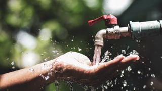 ಕೊನೆಗೂ ಮಂಗನಾಟಕ್ಕೆ ಬಿತ್ತು ಬ್ರೇಕ್: ಇಡೀ ಊರನ್ನೇ ಭಯಭೀತಿಗೊಳಿಸಿದ್ದ ಕೋತಿ ಲಾಕ್