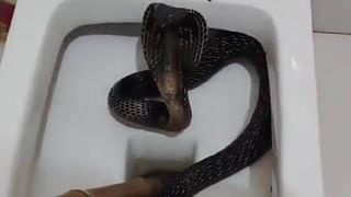 ದಯವಿಟ್ಟು ಇದನ್ನು ಗಮನಿಸಿ: ಸ್ವಚ್ಛತೆಗಾಗಿ ಅಧಿಕಾರಿಗಳು, ಪ್ರತಿನಿಧಿಗಳಿಗೆ ಅನಿರುದ್ಧ್ ಮನವಿ