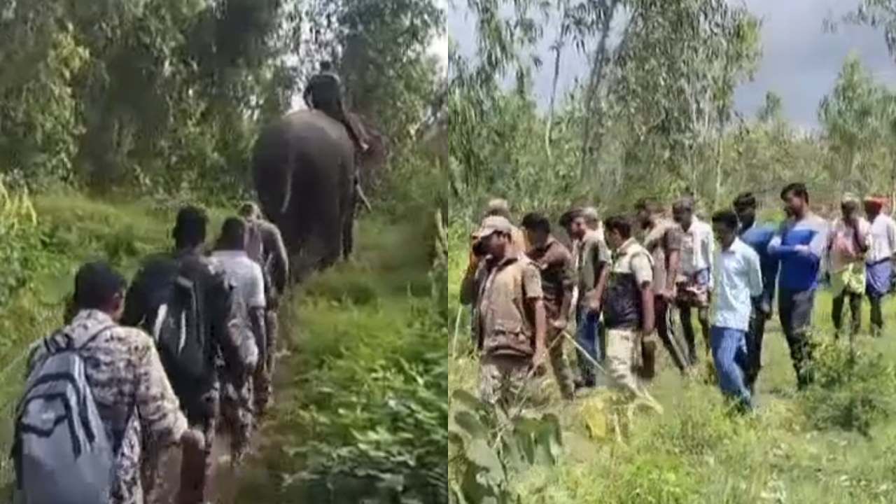 ಚಾಮರಾಜನಗರ: ಕೂಂಬಿಂಗ್ ಕಿಂಗ್​​ ಎಷ್ಟೇ ತಡಕಾಡಿದ್ರು ಪತ್ತೆಯಾಗದ ಹುಲಿ, ಅರಣ್ಯಾಧಿಕಾರಿಗಳೊಂದಿಗೆ ವ್ಯಾಘ್ರನ ಕಣ್ಣಾ ಮುಚ್ಚಾಲೆ!