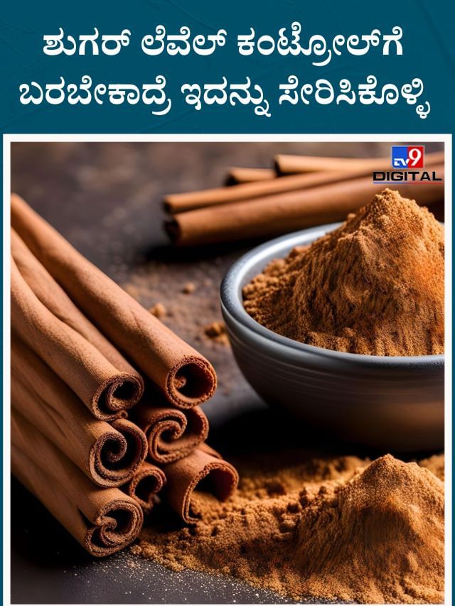ಮಧುಮೇಹಿಗಳು ದಾಲ್ಚಿನ್ನಿ ಸೇವಿಸುವುದು ಒಳ್ಳೆಯದೇ? ಇದರ ಆರೋಗ್ಯ ಪ್ರಯೋಜನಗಳೇನು?