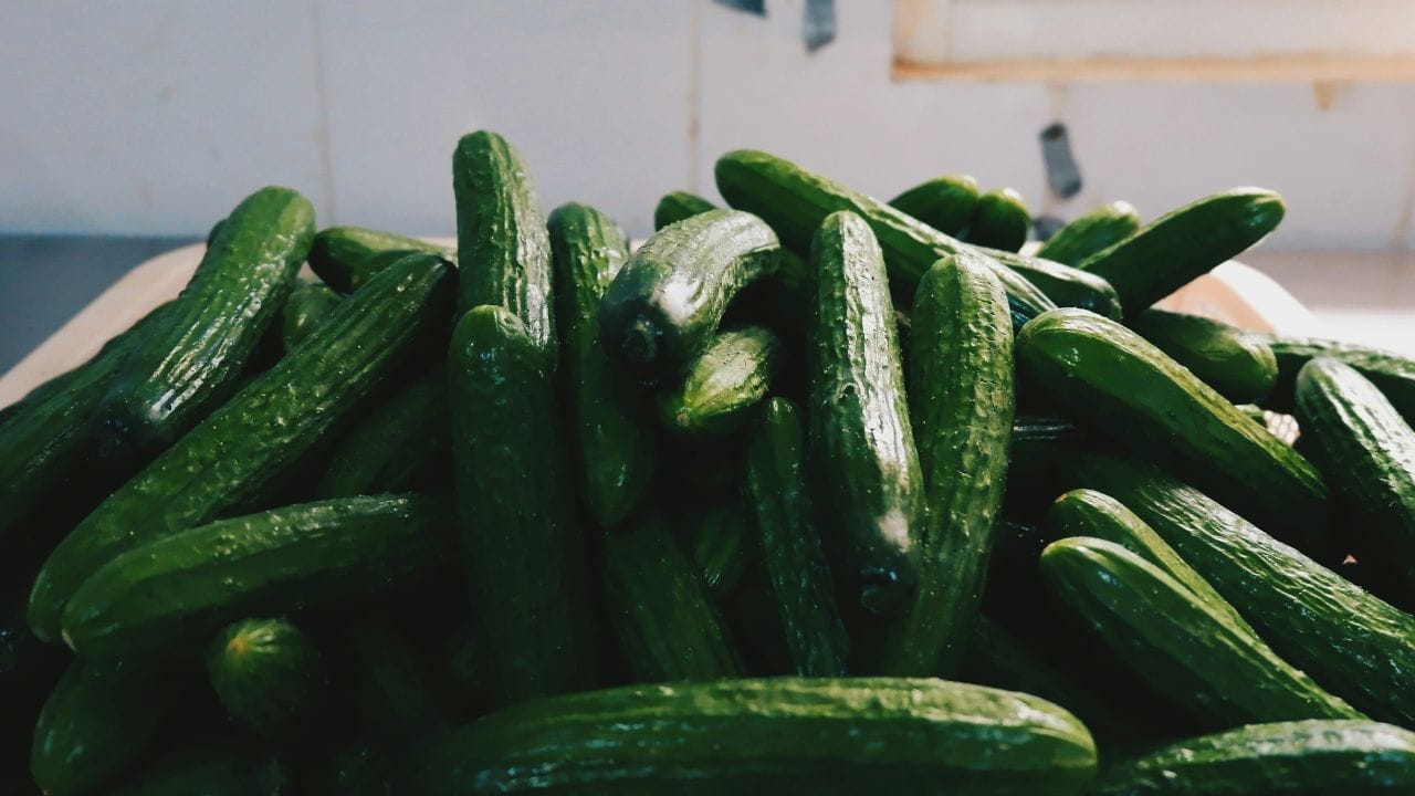 ಮೂತ್ರ ವಿಸರ್ಜನೆಗೆ ಸಂಬಂಧಿಸಿದ ಸಮಸ್ಯೆಗೆ ಮುಕ್ತಿ ನೀಡಲು ಈ ತರಕಾರಿ ಸೇವನೆ ಮಾಡಿ