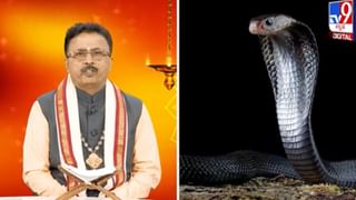 ಆರ್ಥಿಕ ಪದ್ಧತಿಗಳು ನ್ಯಾಯಯುತವಾಗಿರಬೇಕು; ಬ್ರಿಕ್ಸ್ ಶೃಂಗಸಭೆಯಲ್ಲಿ ವಿದೇಶಾಂಗ ಸಚಿವ ಜೈಶಂಕರ್