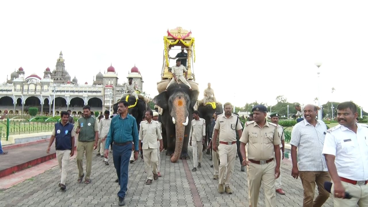 ಅರಮನೆ ಕೋಟೆ ಆಂಜನೇಯಸ್ವಾಮಿ ದ್ವಾರದ ಮೂಲಕ 
ಚಾಮರಾಜೇಂದ್ರ ವೃತ್ತ, ಕೆ.ಆರ್.ವೃತ್ತ ಸಯ್ಯಾಜಿರಾವ್ ರಸ್ತೆ ತಿಲಕ್​ ನಗರ ಬಂಬೂಬಜಾರ್ ಮೂಲಕ ಬನ್ನಿ ಮಂಟಪದ ಪಂಜಿನ ಕವಾಯತು ಮೈದಾನದವರೆಗೆ ಮರದ ಅಂಬಾರಿ ಹೊತ್ತ ಅಭಿಮನ್ಯು ನೇತೃತ್ವದಲ್ಲಿ ತಾಲೀಮು ನಡೆಸಲಾಯಿತು.