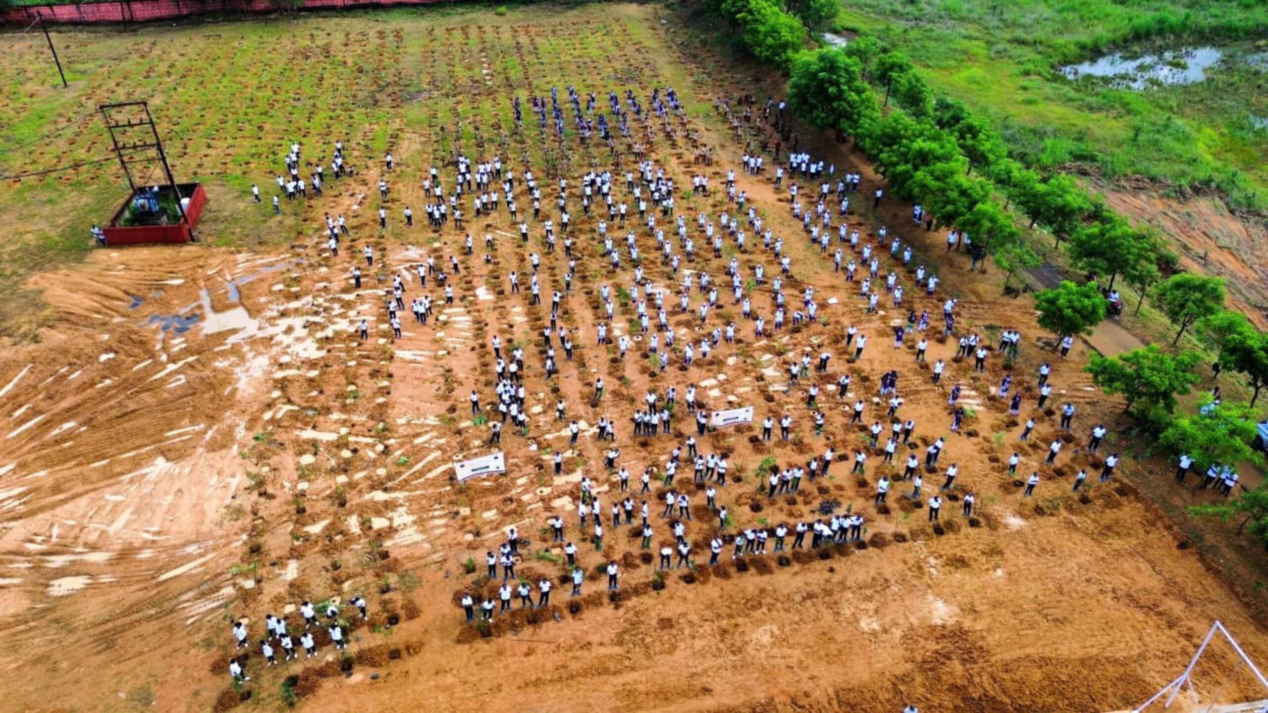 ಒಡಿಶಾದಾದ್ಯಂತ ಸಸಿ ನೆಡುವ ಕಾರ್ಯಕ್ರಮವನ್ನು  ಅರಣ್ಯ ಮತ್ತು ಕೃಷಿಯ ಜೊತೆಗೆ ಇತರ ವಿವಿಧ ಸರ್ಕಾರಿ ಇಲಾಖೆಗಳು, ಪಿಎಸ್‌ಯುಗಳು, ಎನ್‌ಜಿಒಗಳು, ಯುವ ಸಂಘಟನೆಗಳು ಮತ್ತು ಸ್ವಯಂಸೇವಾ ಸಂಸ್ಥೆಗಳು ಭಾಗವಹಿಸಿದ್ದು, ಗಿಡ ನೆಟ್ಟು ಪ್ರಧಾನಿ ಮೋದಿ ಅವರಿಗೆ ಹುಟ್ಟಹಬ್ಬದ ಶುಭಾಶಯ ಕೋರಿವೆ.