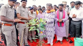 ಗಜಪಡೆ ತಾಲೀಮು, ವಜ್ರಖಚಿತ ಸಿಂಹಾಸನ ಜೋಡಣೆ: ಇಲ್ಲಿವೆ ಮೈಸೂರು ದಸರಾ ಸಂಭ್ರಮದ ಚಿತ್ರಗಳು