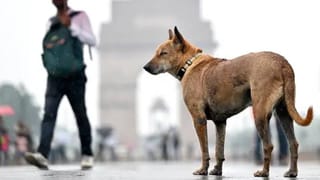 ಪ್ರಧಾನಿ ಮೋದಿಯವರ ಸೇವಾ ಮನೋಭಾವ ಗೌರವಿಸಲು ‘ಸೇವಾ ಪರ್ವ’ ಆರಂಭಿಸಿದ  ಬಿಜೆಪಿ